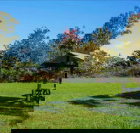 Tunks Hill picnic area - Your Accommodation