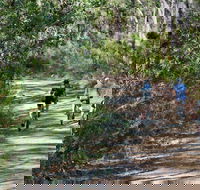 Andersons Trail