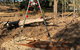 Arts Rutherglen Sculpture Trail - thumb 1