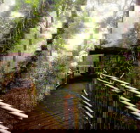 Dorrigo National Park - Your Accommodation