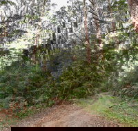 End Peak walking track - Your Accommodation