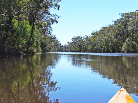 Esk River - Your Accommodation 0