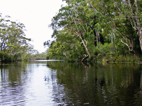 Esk River - Your Accommodation 2