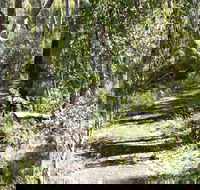 Euglah Rock Walking Track - Your Accommodation