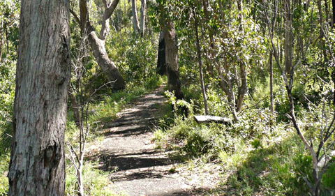 Euglah Rock Walking Track - Your Accommodation 0