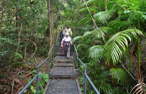 Falls Walking Track - Your Accommodation 0