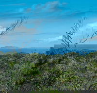 Forest Walking Track Crowdy Bay National Park - Your Accommodation