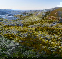 Gold Coast Hinterland Great Walk - Your Accommodation