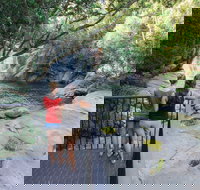 Josephine Falls walking track Wooroonooran National Park - Your Accommodation