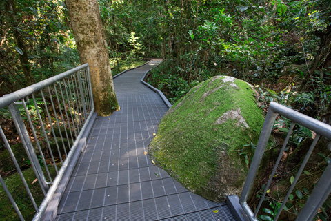 Josephine Falls Walking Track, Wooroonooran National Park - Your Accommodation 2