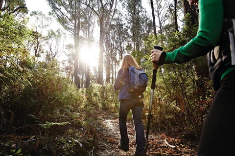 Kinglake National Park - Your Accommodation 0