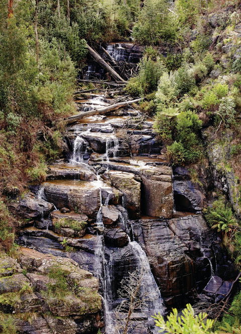Kinglake National Park - Your Accommodation 1