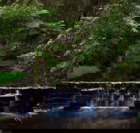 Millards Creek Walk and Cycleway