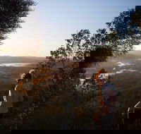 Mount Arthur Reserve - Your Accommodation