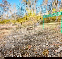 Mt Glenrowan Lookout Walk - Your Accommodation