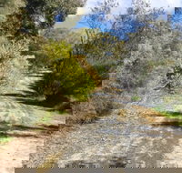 Naracoorte North Nature Park - Your Accommodation