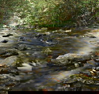 Plateau Circuit Loop Trail - Your Accommodation