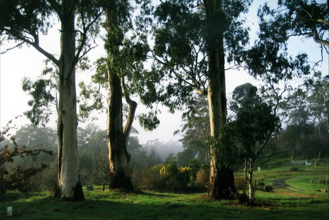 Tasmanian Arboretum Inc. - The - Your Accommodation 1