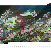 The Homestead Gallery - Your Accommodation