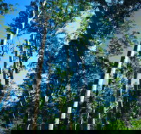 The Four Aces - Your Accommodation