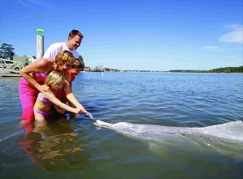 Tourist Drive- Cooloola Coast Fraser Island - Your Accommodation 2