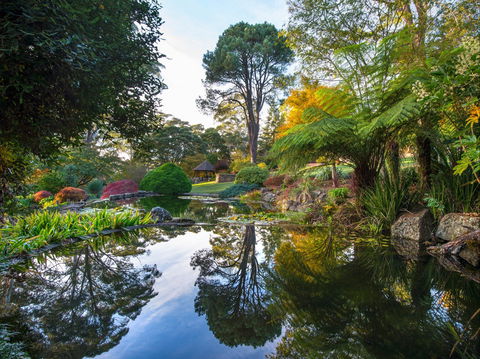 Windyridge Garden Mount Wilson - Your Accommodation 1