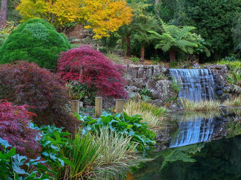 Windyridge Garden Mount Wilson - Your Accommodation 2