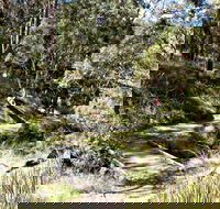 Wollomombi Walking Track - Your Accommodation
