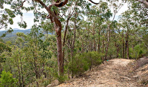 Yango Walking Track - Your Accommodation 0