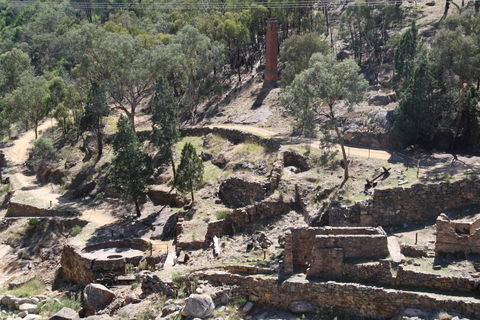 Adelong Falls Gold Mill Ruins - Your Accommodation 0