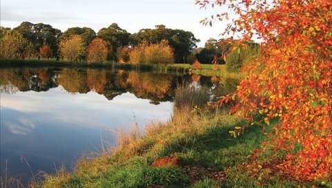 Alpine - Your Accommodation 0