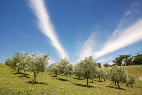 Alpine - Your Accommodation 2