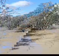 Bush Tucker Trail - Your Accommodation