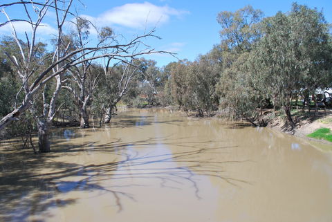 Bush Tucker Trail - Your Accommodation 0