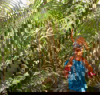 Canungra - Your Accommodation