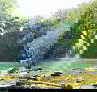 Cedar Creek Falls - Your Accommodation