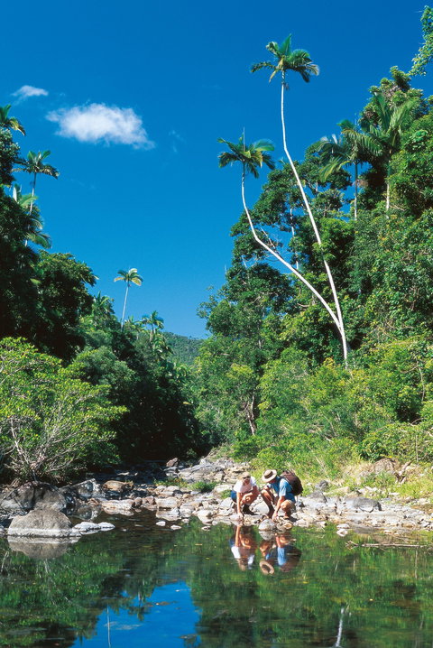 Cedar Creek Falls - Your Accommodation 2