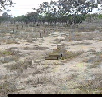 Culgoa Connellys Track - Your Accommodation