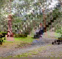 Currawong Bush Park - Your Accommodation
