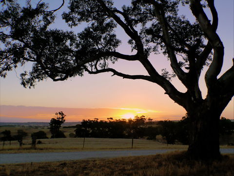 Eden Valley Lookout - Your Accommodation 0