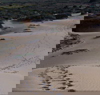 Foreshore Walk Mungo National Park - Your Accommodation