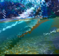 Glenreagh - Your Accommodation