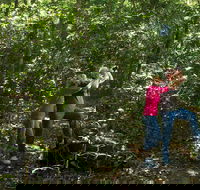 Iluka Rainforest Walking Track - Your Accommodation