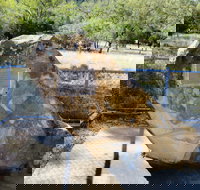 John Oxley Monument - Your Accommodation