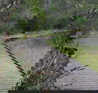 Leschenault Peninsula Conservation Park - Your Accommodation