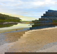Mangrove Walk