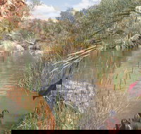 Palm Springs - Your Accommodation