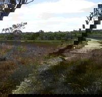 Penola Conservation Park - Your Accommodation