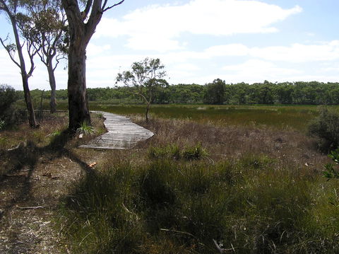 Penola Conservation Park - Your Accommodation 0