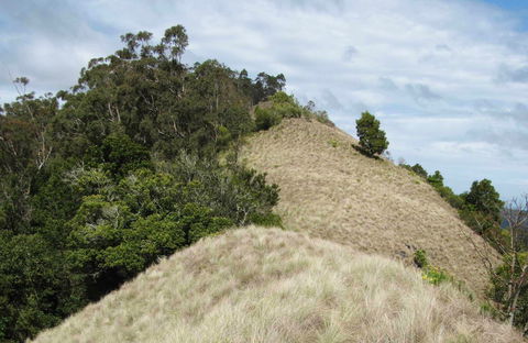 Pieries Peak Walking Track - Your Accommodation 0
